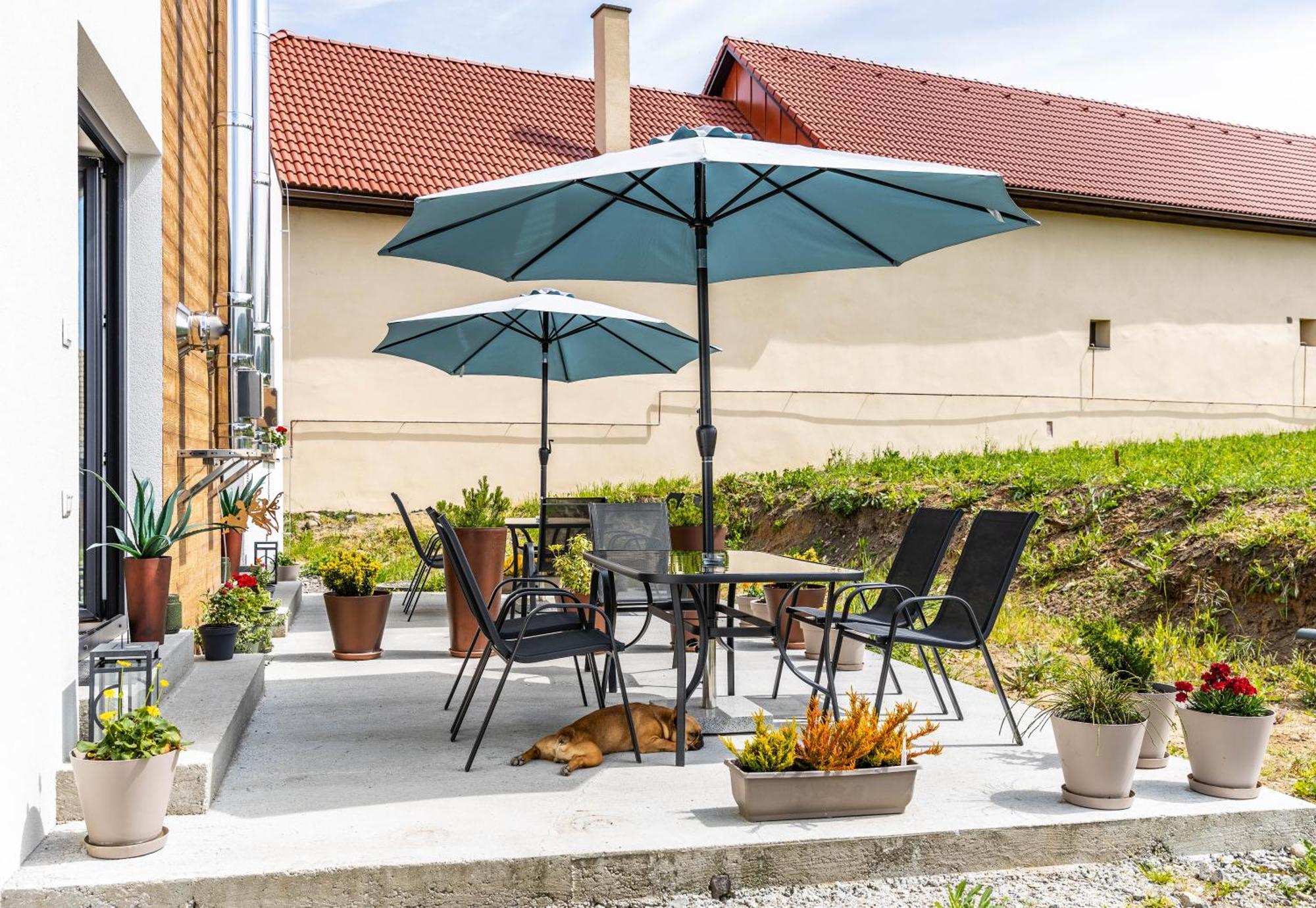 זבולן Sunny Apartment With Free Parking מראה חיצוני תמונה